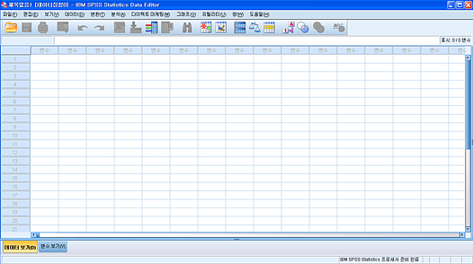 IBM SPSS 실행화면