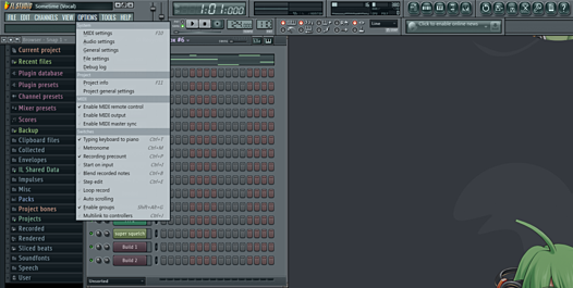 FL studio 옵션