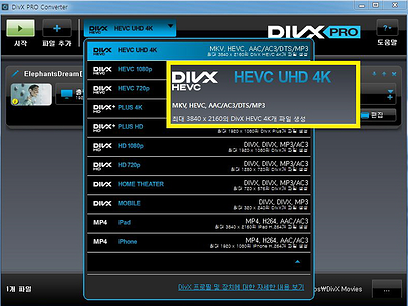 DivX Converter 실행화면 03