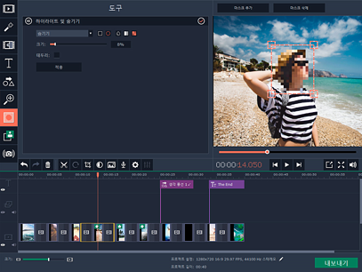 VideoEditor conceal6