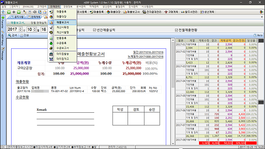 nERP 매출보고서