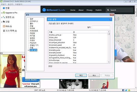 uTorrent 고급 설정